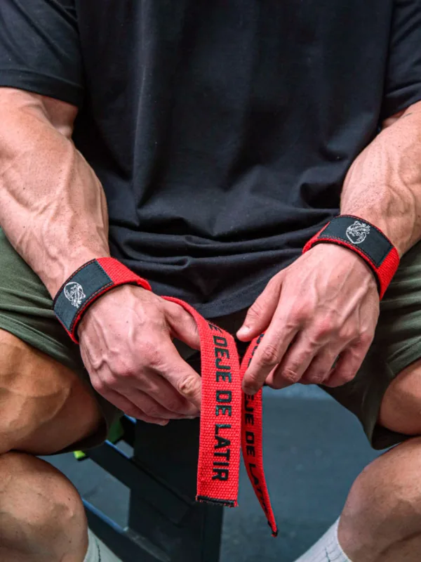 Straps - Hasta que Deje de Latir - Imagen 2